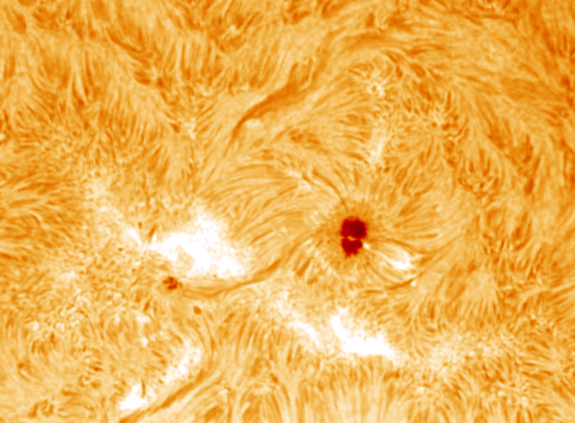images/stories/2011-06-19-at-18-32-46ut-to-18-48ut-coloured.gif