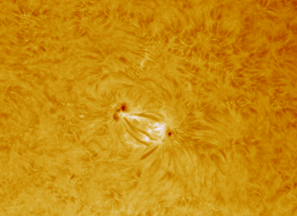 images/stories/2011-06-29-at-18-18-to-18-42ut-coloured.gif