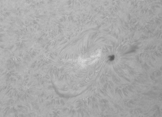 images/stories/2011-07-15-at-11-29-to-12-05ut-animated-bw.gif images/stories/2011-07-15-at-11-29-to-12-05ut-animated-bw.gif