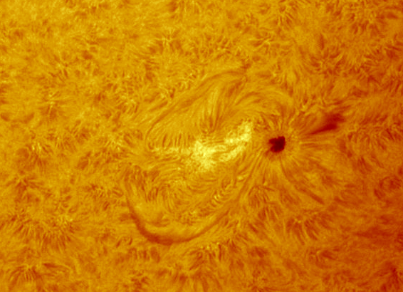 images/stories/2011-07-15-at-11-29-to-12-05ut-animated-coloured-contrasted.gif images/stories/2011-07-15-at-11-29-to-12-05ut-animated-coloured-contrasted.gif