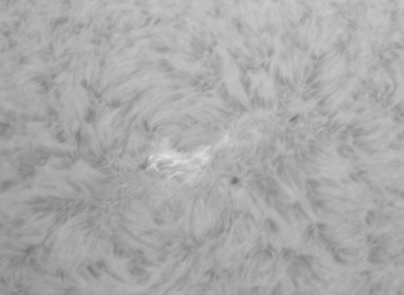 images/stories/2011-08-21-at-13-09-to-13-22ut-bw-contrasted-s.gif images/stories/2011-08-21-at-13-09-to-13-22ut-bw-contrasted-s.gif