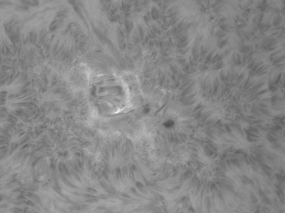 images/stories/2011-08-22-at-10-31-to-12-14ut.gif images/stories/2011-08-22-at-10-31-to-12-14ut.gif