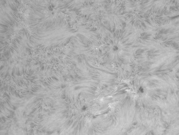 images/stories/2011-09-01-at-10-03-to-10-36ut-bw.gif images/stories/2011-09-01-at-10-03-to-10-36ut-bw.gif