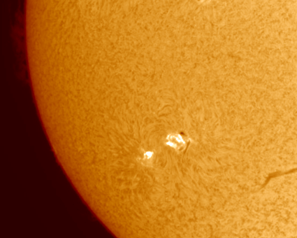 images/stories/2011-11-15-at-12-52-to-13-26ut-ani-col.gif