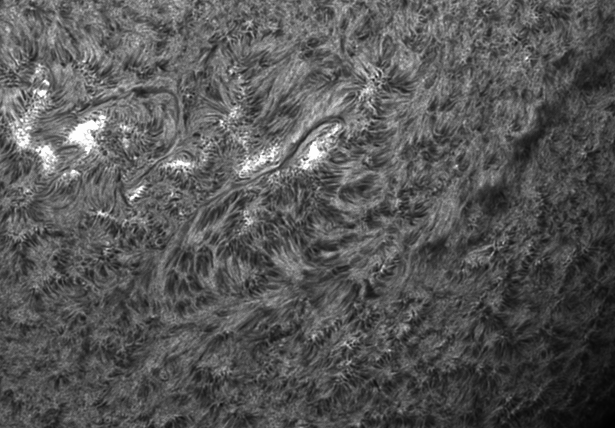 images/stories/video0016-11-06-25-13-50-31r-x3 1.gif images/stories/video0016-11-06-25-13-50-31r-x3 1.gif